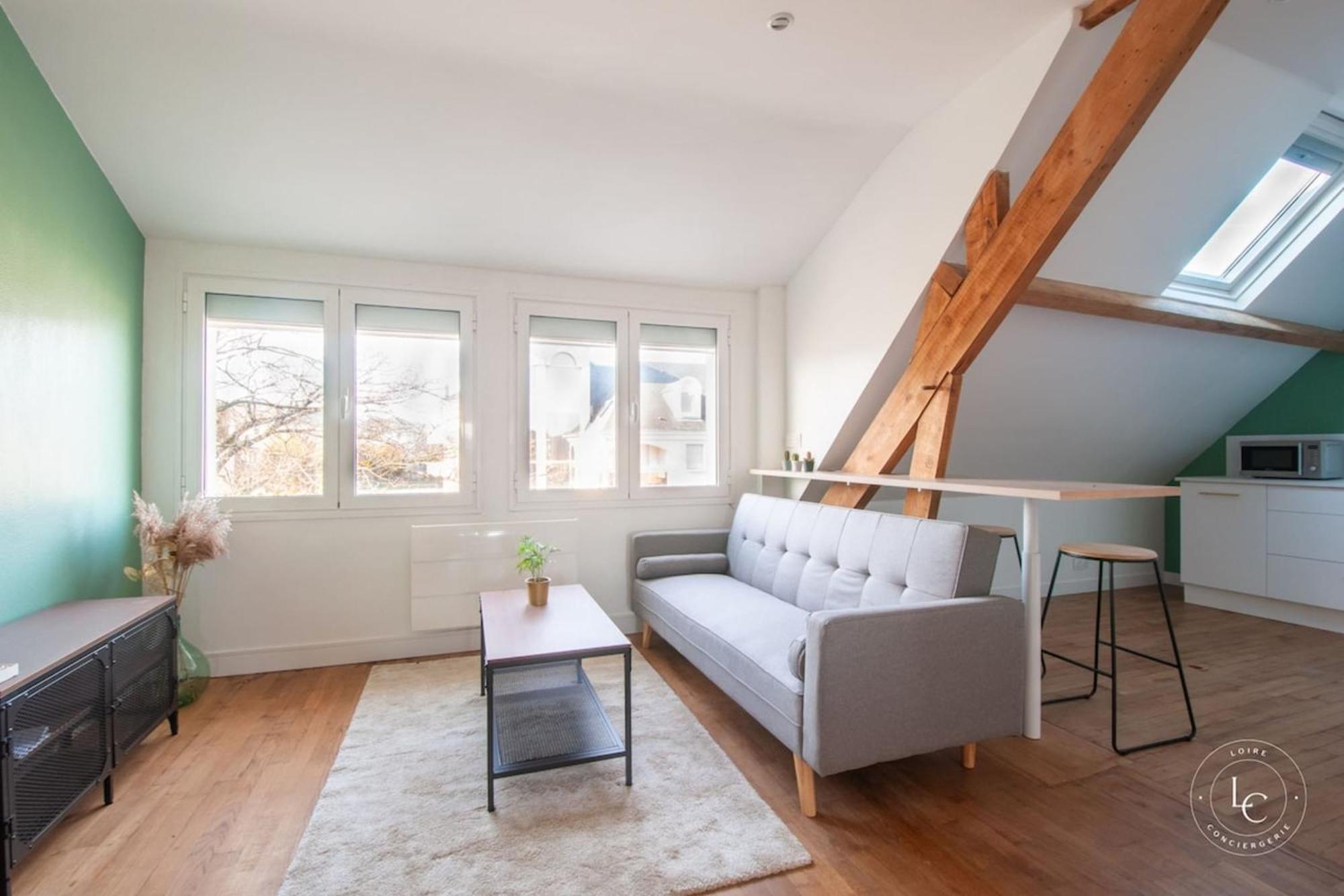 Bright 70m Near Center & The Loire Appartement *